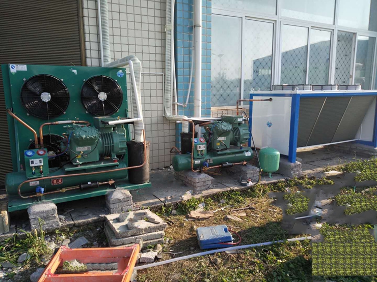 畢節(jié)大方餐飲配送中心1000立方米冷藏冷凍庫