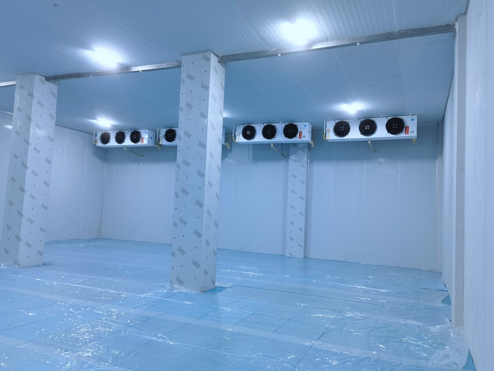 貴州新中一種業(yè)股份有限公司1100立方米保鮮庫